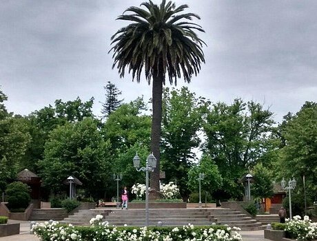 oficina buses erbuc los ángeles