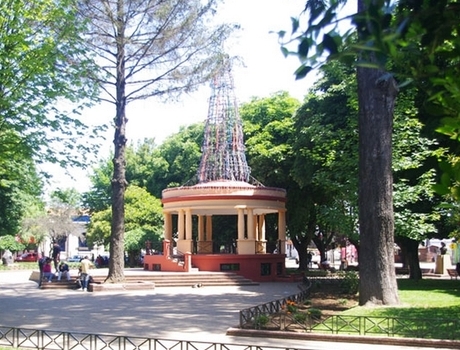 oficina buses erbuc victoria